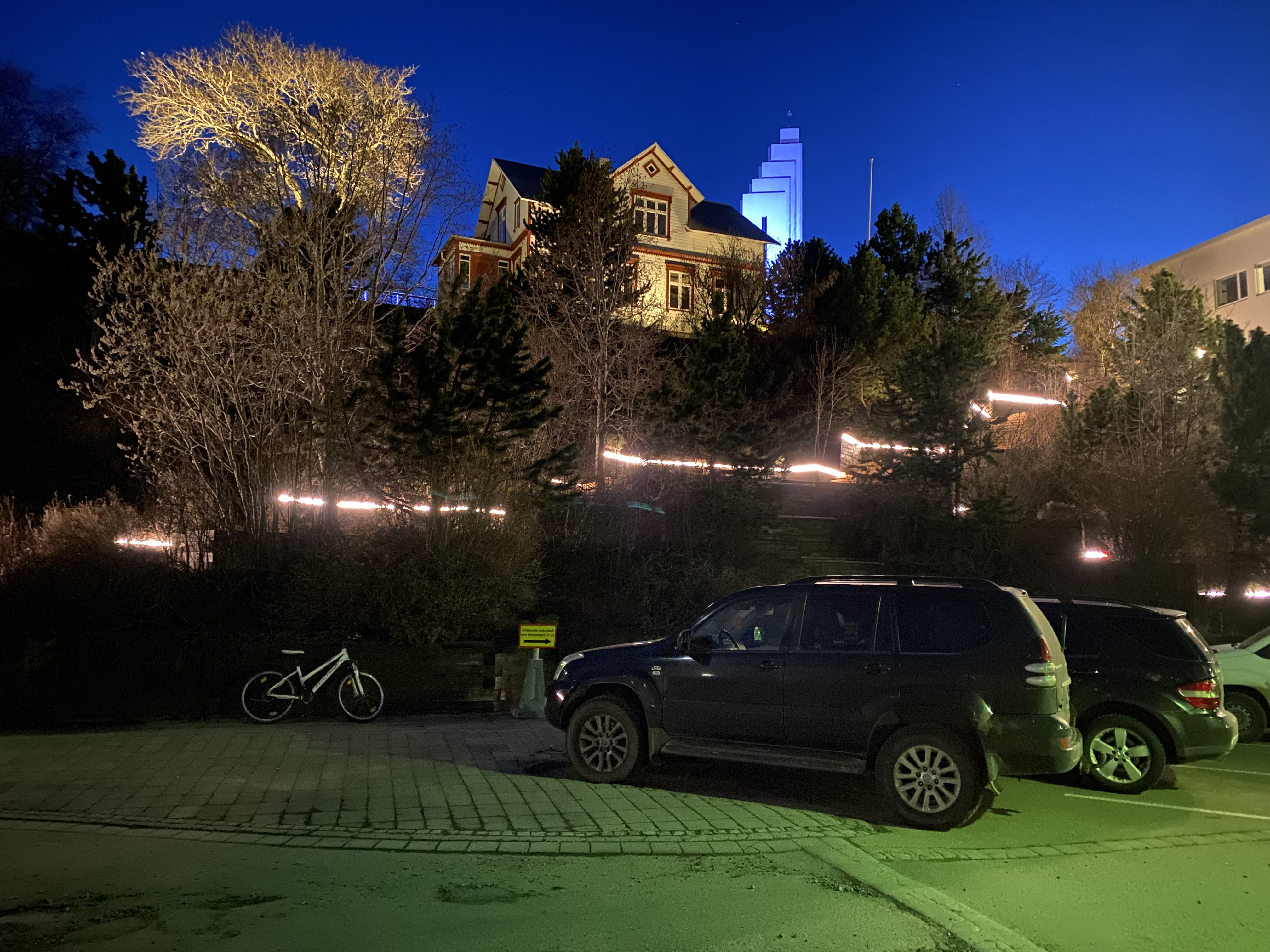 Professional Electricians